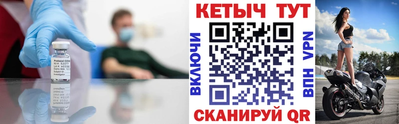 КЕТАМИН VHQ  omg ссылка  Зеленогорск  как найти наркотики 