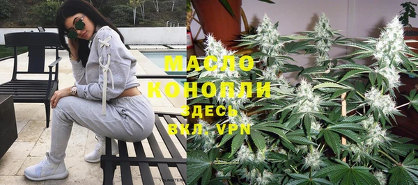 прущие грибы Абаза