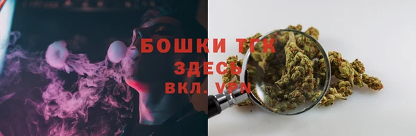 ГАЛЛЮЦИНОГЕННЫЕ ГРИБЫ Алзамай