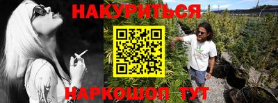 кокс Гатчина