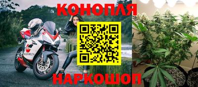 кокс Гатчина