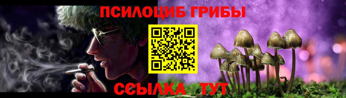 Галлюциногенные грибы Psilocybe Зеленогорск